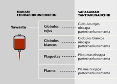 Yawar, yawarpi tawa kaqkuna hinaspa fracciones sanguineas