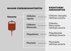 Yawar, chuskuman rakishqa yawar y tsëkunataqa jampiman y imëka masmanmi churayan