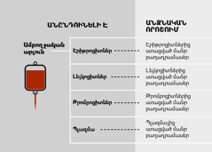 Արյուն, դրա չորս գլխավոր բաղադրամասերը, արյան բաղադրամասերը