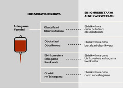 Eshagama, nʼebicweka byayo bina ebikuru, nʼobucweka bwʼeshagama