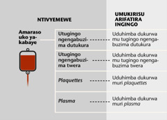 Amaraso, ibihimba vyayo bine nyamukuru n’uduhimba dutoduto twayo