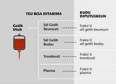 Getih, opat bagian utamana, jeung fraksi-fraksina