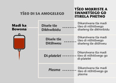 Madi, dikarolo tša wona tše nne tša motheo, le dikarolwana tša madi