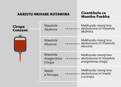 Ciropa, makhundu manai a ciropa, na makhundu mang’ono a ciropa