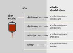 เลือด ส่วน​ประกอบ​หลัก 4 อย่าง​ของ​เลือด และ​ส่วน​ประกอบ​ย่อย​ของ​เลือด