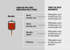 Brudu, den fo prenspari sani di de fu feni na ini brudu, nanga den pikinpikin sani di sma e teki puru na ini brudu