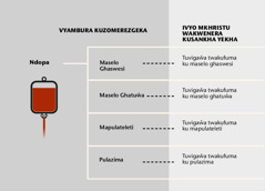 Ndopa, vigaŵa vikuruvikuru vinayi, na vigaŵa vichokovichoko