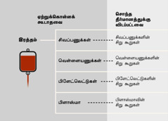 இரத்தம், அதன் நான்கு முக்கிய பாகங்கள் மற்றும் சிறுகூறுகள்