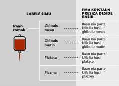 Raan ho ninia parte importante haat no parte kiʼik liu