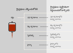 రక్తం, దానిలోని నాలుగు ప్రధాన భాగాలు, సూక్ష్మ భాగాలు