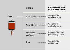 Vaega fo‵liki o te toto. A te toto e faite mai vaega ‵lasi e fa