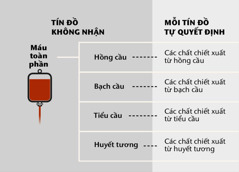 Máu, bốn thành phần chính và chiết xuất từ máu