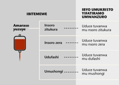 Amaraso, ibice bine by’ingenzi bigize amaraso, n’uduce duto tuvanwa mu maraso