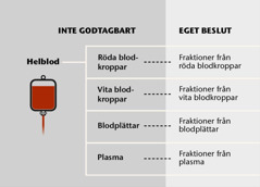 Blod, blodets fyra huvudkomponenter och fraktioner av blod.