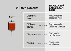 Runy glóbulos rojos, glóbulos blancos, plaquetas né plasma né fracciones xtuny runy