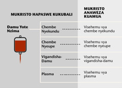 Damu, sehemu ine kubwa za damu, na visehemu vya damu