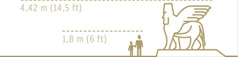 La altura de una persona adulta de 1,8 metros (6 pies) comparada con la altura de un toro alado con cabeza humana de 4,42 metros (14,5 pies).