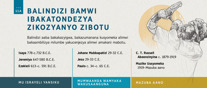 Balindizi Bamwi Ibakatondezya Zikozyanyo Zibotu