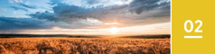 Урок 2. Восход солнца над необъятными полями пшеницы.