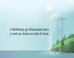 A Bhibhiliya ga tlhamusela lomu a mati ya vhula ma tako hi kona. Tiseta ti cuwukileko cineneni na ti komba lezvi a mati ma fambisako zvona ku sukela laha misaveni maya tilweni ma tlhela ma wuya.