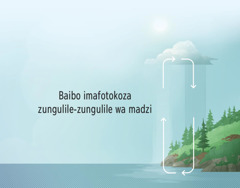 Baibo ifotokoza zungulile-zungulile wa madzi. Mivi iyi ionetsa mmene madzi amayendela cozungulila kucokela pansi kukwela m’mwamba.