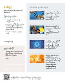 စာမျက်နှာ ၂၈ မှာပါတဲ့ပုံ။