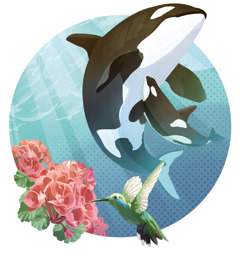 Képösszeállítás: Egy bálna és a borja, virágok és egy kolibri.