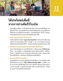 ภาพ​ใน​หน้า 45 ของ​หนังสือ