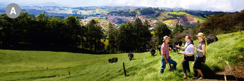 A. In Costa Rica, due testimoni di Geova predicano a un uomo su una collina erbosa.
