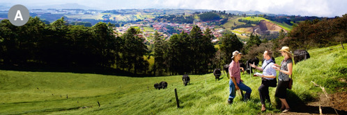 A. Dua iku Saksi-Saksi Jehovah nginjil ngagai seiku lelaki ba tisi bukit ke mayuh rumput di Costa Rica.