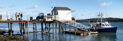 B. アメリカの桟橋で2組のエホバの証人が漁師に伝道している。
