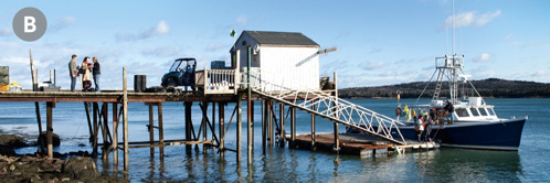 B. Two pairs of Jehovah’s Witnesses preaching to fishermen on a dock in the United States.