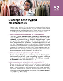 Widok strony 217 publikacji.