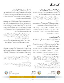 کتاب دے صفحہ 255 دی تصویر۔‏