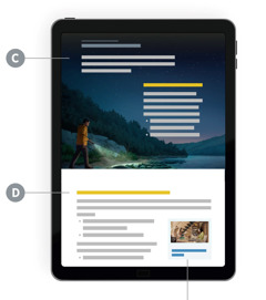 C gbe D nọ i bi dhesẹ eware nọ e rrọ abọ udevie uwuhrẹ.