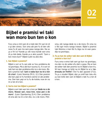 Wan fowtow fu bladzijde 7 fu a brochure.