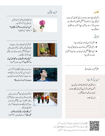 کتاب کے صفحہ نمبر 12 کی تصویر