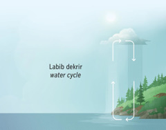 Labib dekrir water cycle. Bann fles montre bann diferan letap water cycle lor later ek dan latmosfer.