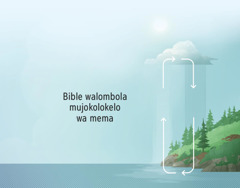 Bible walombola mujokolokelo wa mema. Miketo ilombola mujokolokela mema pa bukata bwa ntanda ne lwelele.