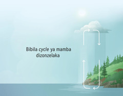 Bibila cycle ya mamba dizonzelaka. Flèches zita kwenda ku lukento tii ku lubakala, zita songela bwe mamba ma katukilaka ha mutoto mpe makwendaka mu zulu.