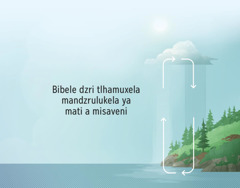 Bibele dzri khanela hi ku zrendzrelekela ka mati a misaveni. Maseta lama kombisaka ku zrendzrelekela ka mati a xikazri ka misava ni mpfhuka.