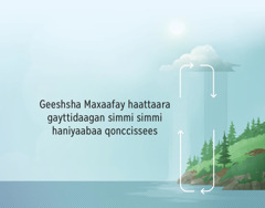 Geeshsha Maxaafay haattaara gayttidaagan simmi simmi haniyaabaa qonccissees. Ginaa bessiya malaatay saluwaanne saˈaa gidduwan haattay saatee yuuyiyo ginan yuuyiyoogaa bessees.