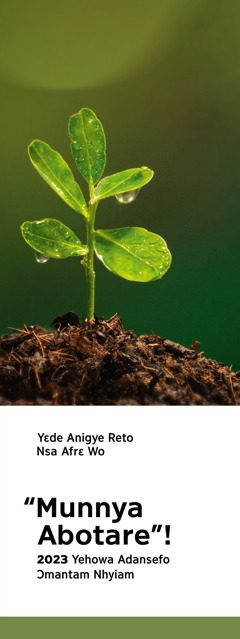 2023 Yehowa Adansefo Ɔmantam Nhyiam nsato krataa.