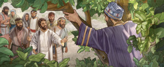 Spre surprinderea unora din mulțime, Isus îl îndeamnă pe Zacheu să coboare din copac.