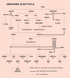 [Diagram på sidan 27]