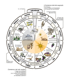 [Diagrama de la página 393]