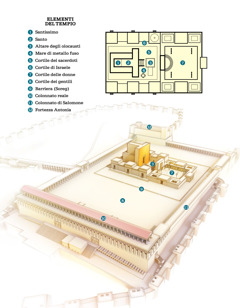 [Diagramma a pagina 543]