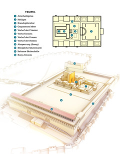 [Diagramm auf Seite 543]