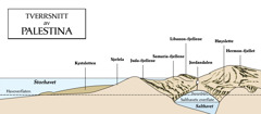 [Diagram på side 549]