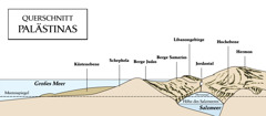 [Diagramm auf Seite 511]